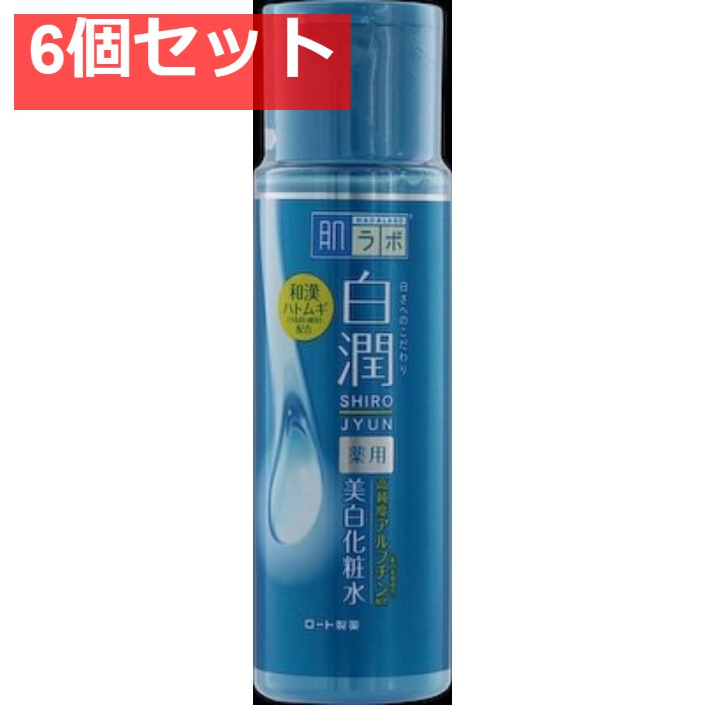 肌ラボ 白潤薬用美白化粧水 [ロート製薬] [化粧水・ローション]【6個セット まとめ売り】