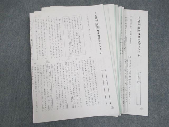 【楽天スーパーセール】 小6 SAPIX WA12-118 SS特訓 2022 雙葉対策プリント01～14 国語 中学受験