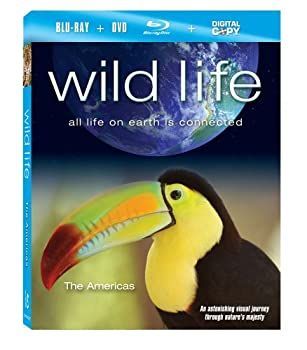 その他 Wild Life: The Americas [Blu-ray] Wild Life: The Americas [Blu-ray] 【公式通販】