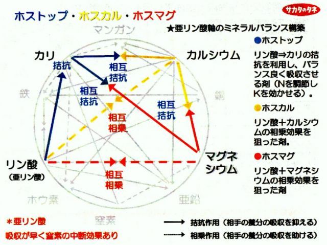 マグネシウム補給で葉の黄化を防ぐ
