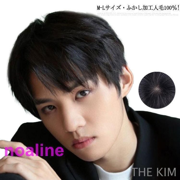 人毛100％! メンズウィッグ 男性用かつら メンズウイッグ 用ウィッグ ウィッグ メンズ ショート フルウィッグ 自然 黒髪 かつら フェザーZYL309目玉商品