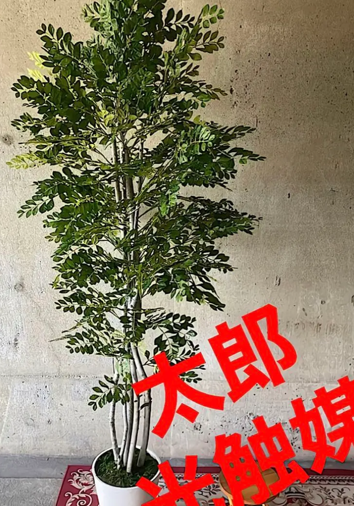 光触媒　人工観葉植物　ウォールグリーン　造花　トネリコ180