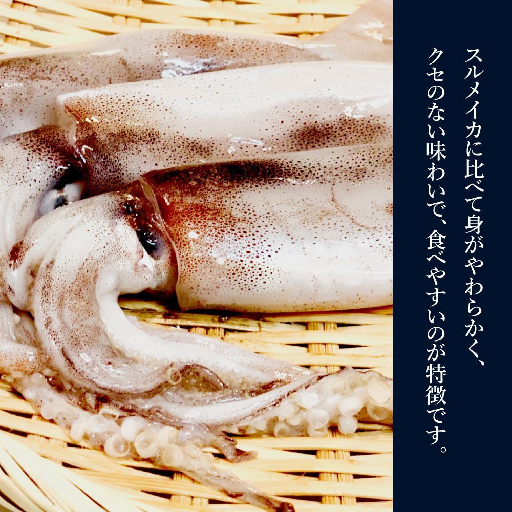 特【★5/2〜5/7問い合わせ窓口休業】【送料無料】噛むほどに旨い 無添加 あたりめ 200g ( するめ スルメ 訳あり おつまみ )