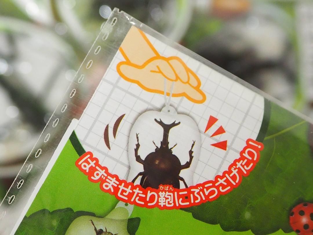 人気の贈り物が ぷっくり大きな 昆虫図鑑ビニールヨーヨー全５種 ペーパークラフト付 縁日ごっこに