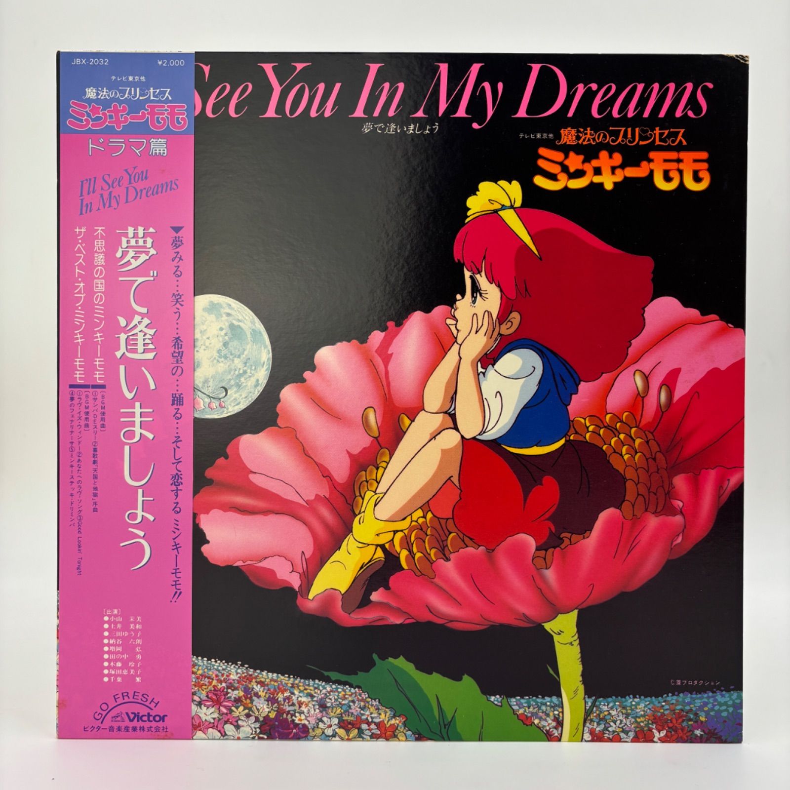 魔法のプリンセス ミンキーモモ LP レコード LPレコード 魔法のプリンセス ミンキーモモ フェナリナーサ