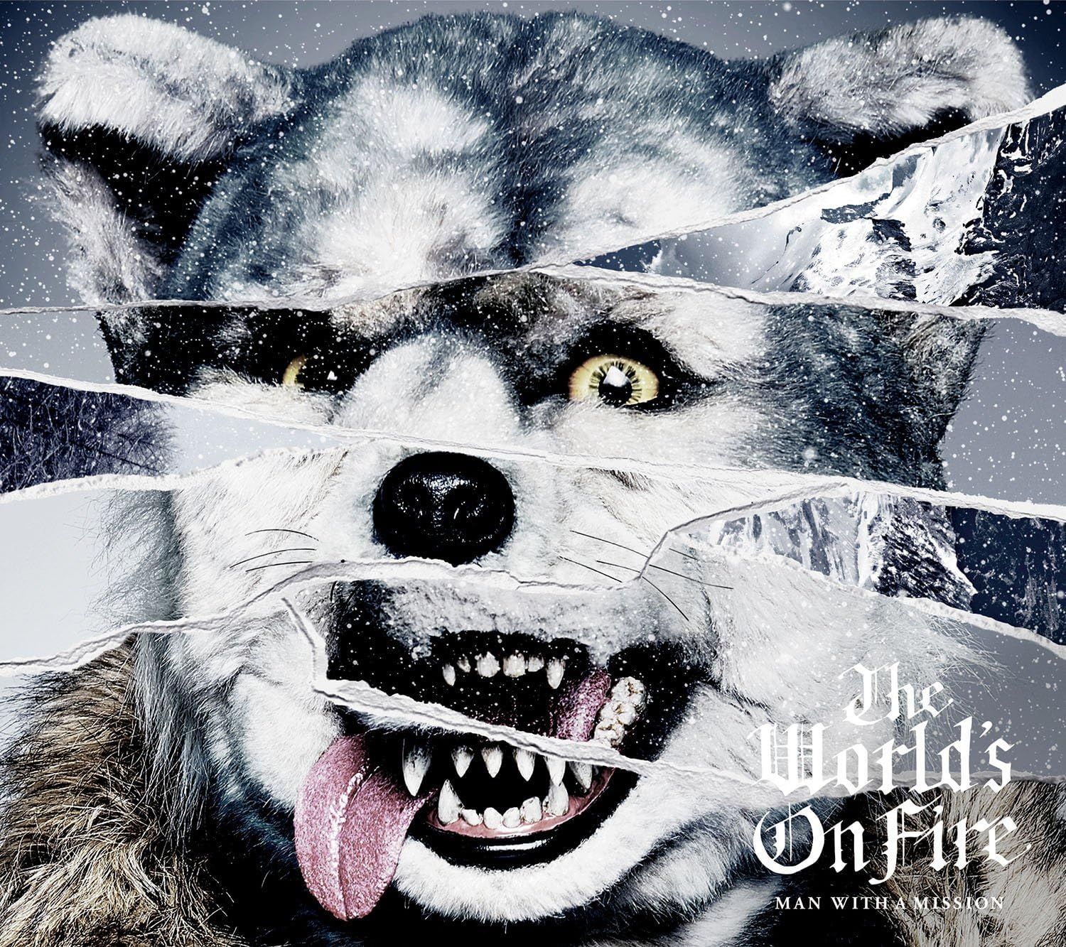 (未使用･未開封品)　The World's On Fire(初回生産限定盤)(フォトブック付) df5ndr3 中古】The World's On Fire(初回生産限定盤)(フォトブック付