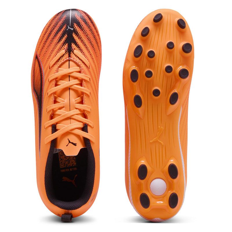 クオリア　QUALIA 6点セット クオリア QUALIA 6点セット