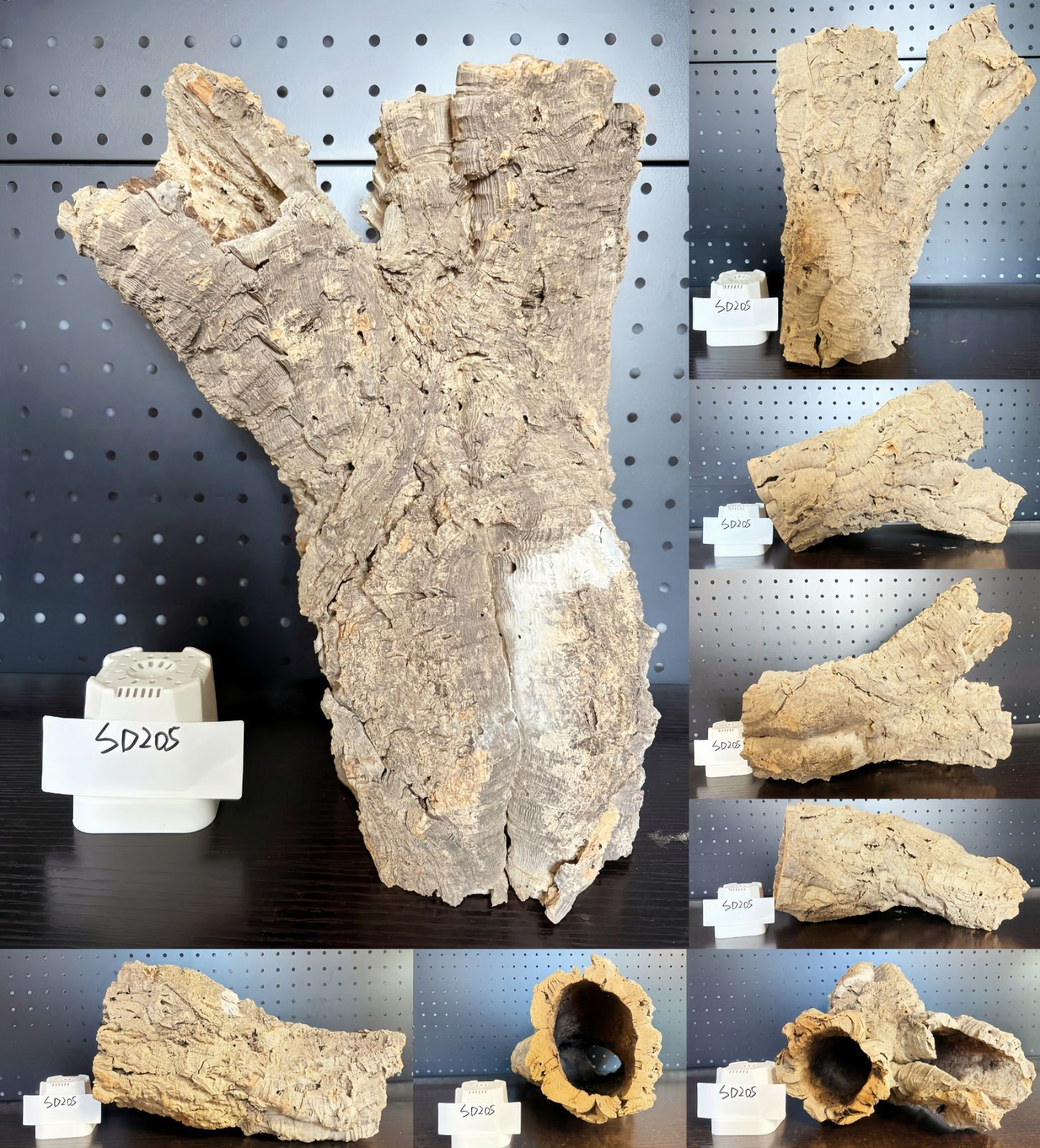 SD205 ポルトガル産 キャノンコルク コルク樹皮 コルク板 バージンコルク 送料無料 チランジア ビカクシダ 着生ラン 両生類 爬虫類 STEELWINDOWSANDDOORS_COM