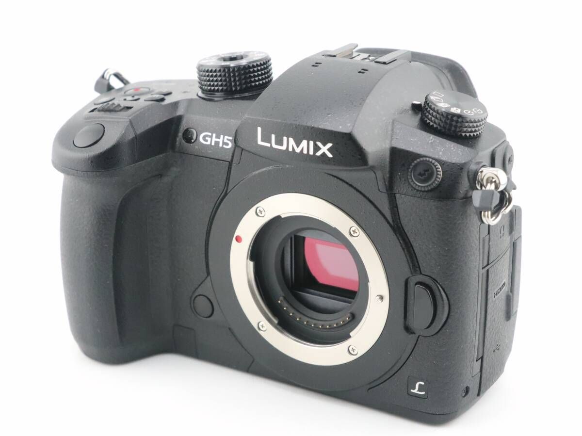 上 ショット数 46枚 パナソニック Panasonic LUMIX GH5 RD-SPM049 ボディ I1038＃3514