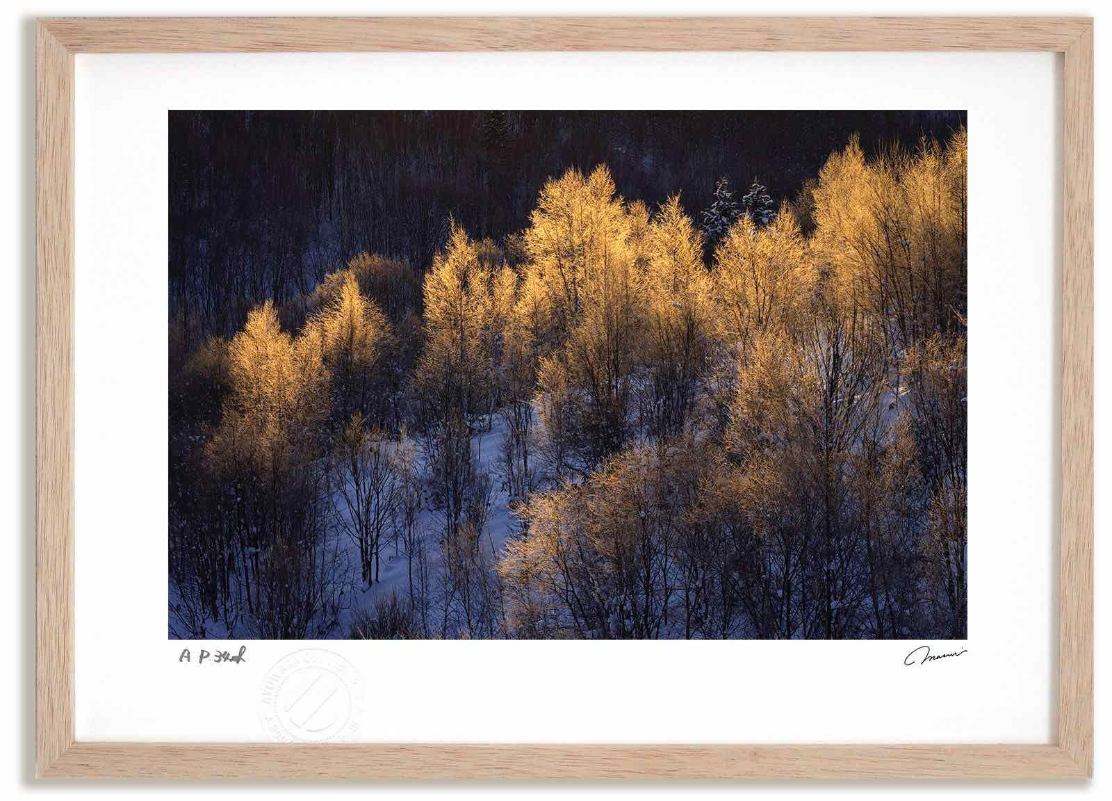 アートフォト 絵画 黄金色の霧氷 高橋真澄 インテリア 額入り 額装込 風景画 油絵 ポスター アート アートパネル リビング 玄関 プレゼント モダン アートフレーム 飾る Mサイズ おしゃれ 壁掛け 絵