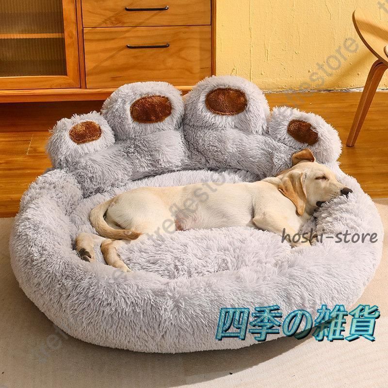 小型犬