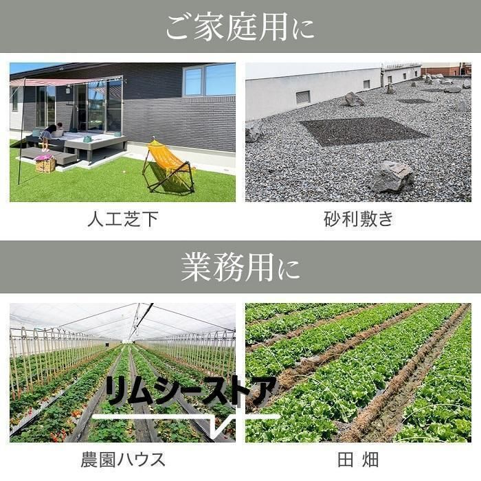 シート