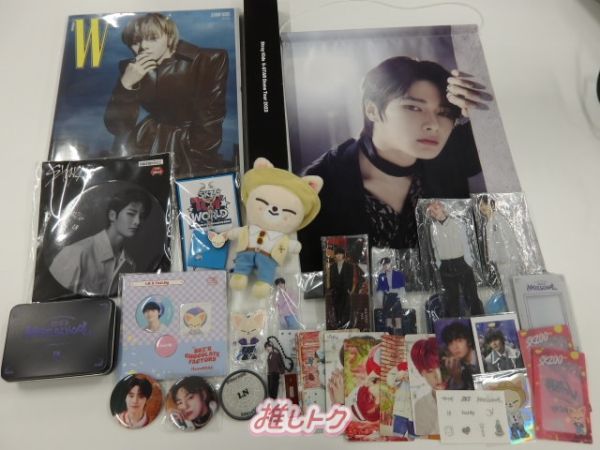 Stray Kids I.N グッズセット アイエン アクスタ5点 タペストリー含む