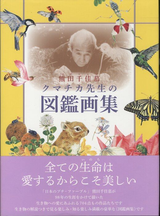 熊田千佳慕 クマチカ先生の図鑑画集 - メルカリ
