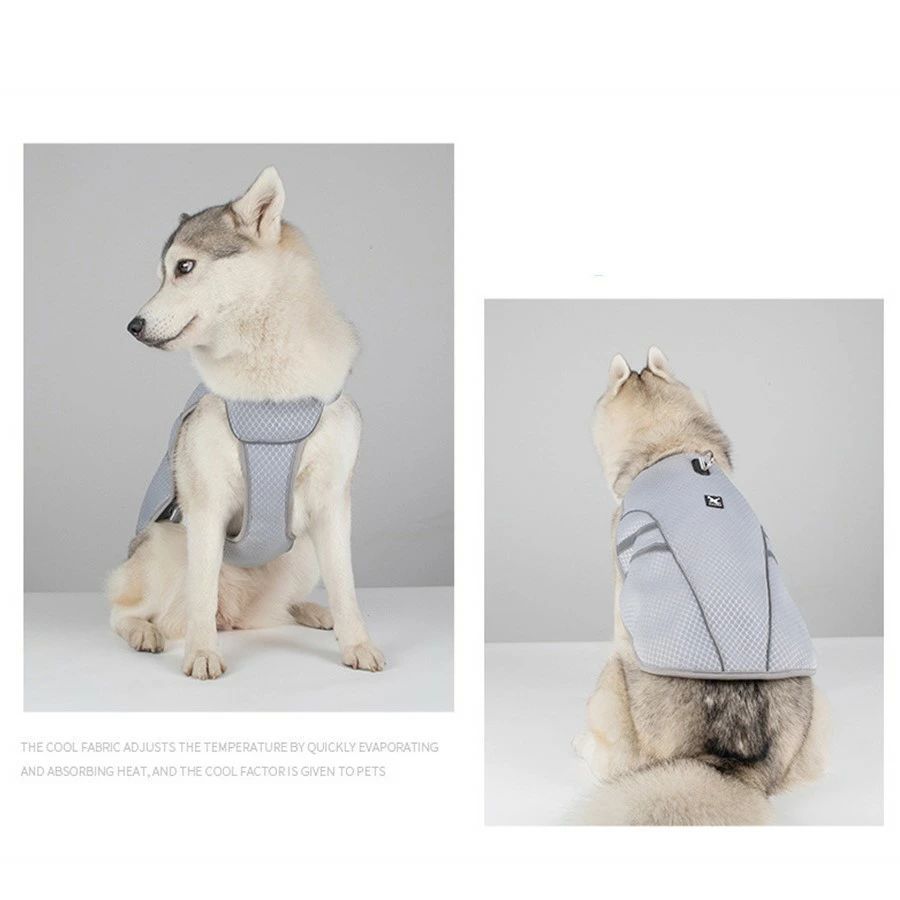 犬用