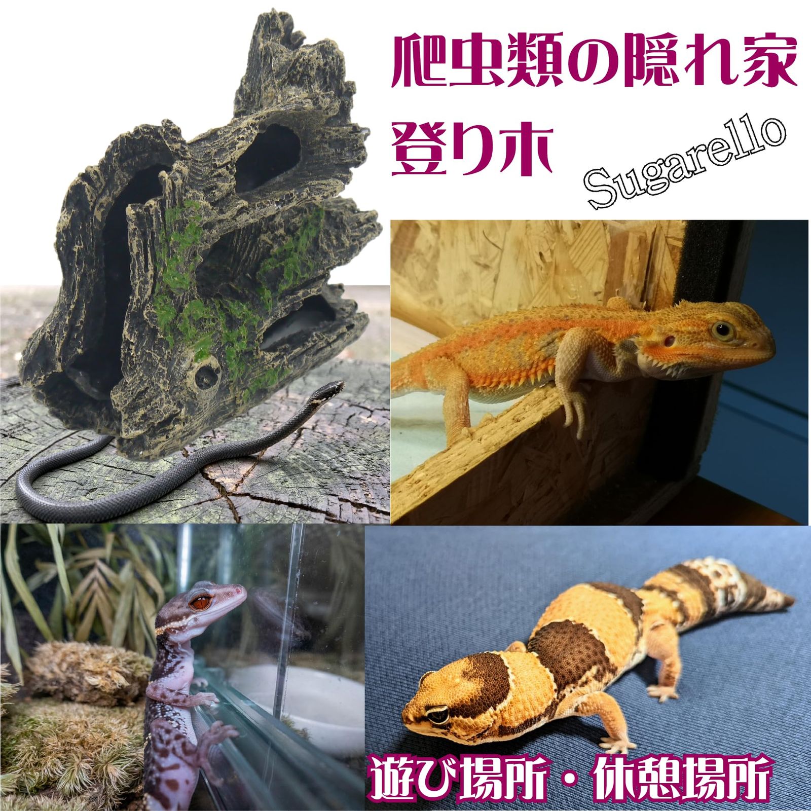 Sugarello 爬虫類 隠れ家 登り木 遊び場 流木 水槽 テラリウム