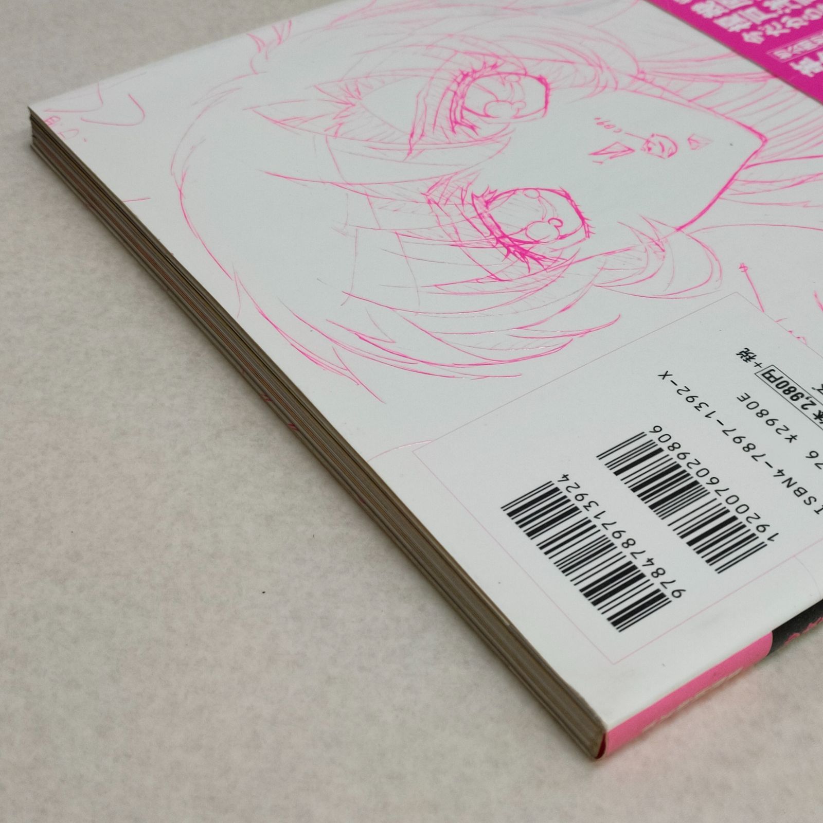 薔薇の全貌 少女革命ウテナart collection イラスト集 希少 ポスター付