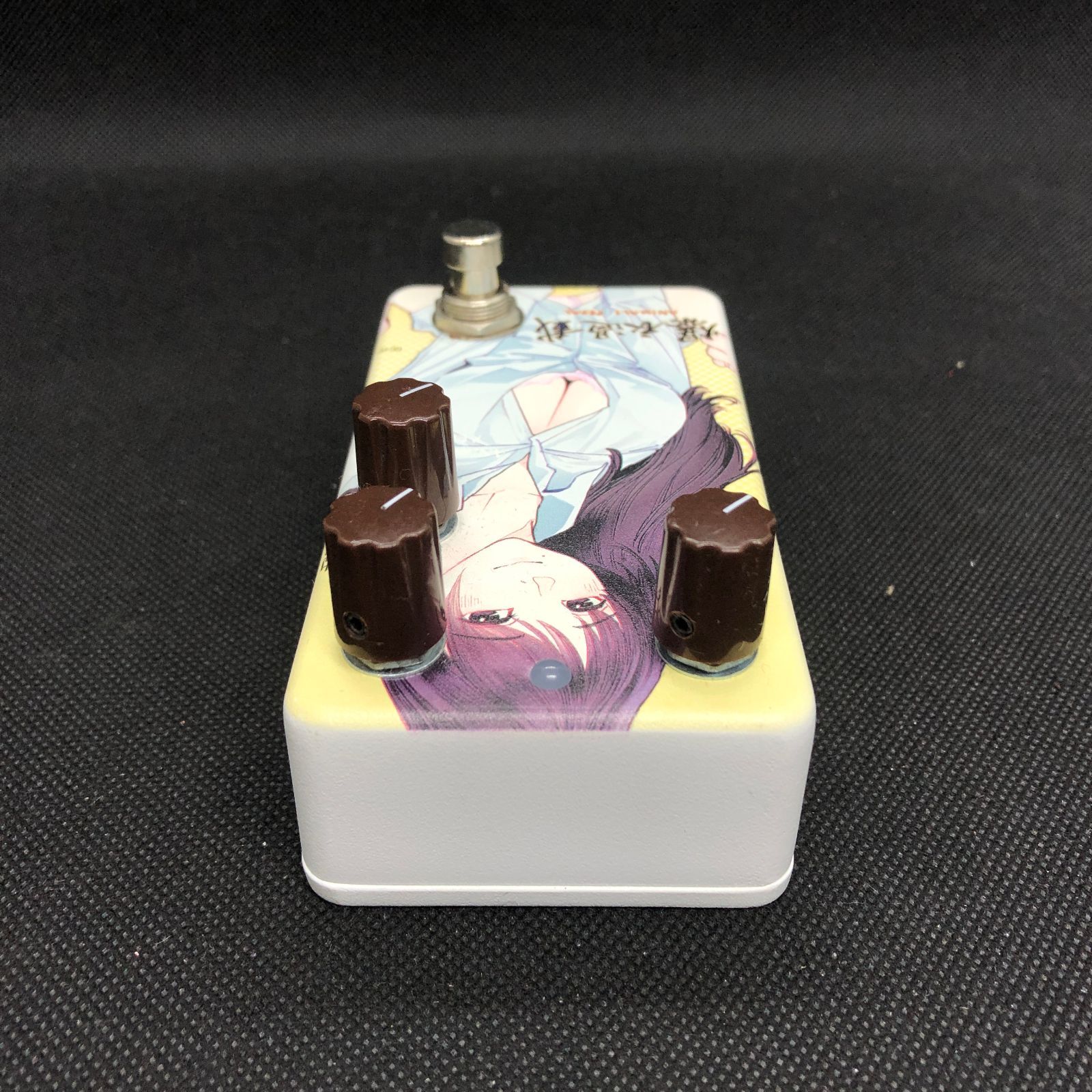 Animals Pedal Custom Illustrated 爆衣過載 Animals Pedal Custom Illustrated Surfing Bear Overdrive by