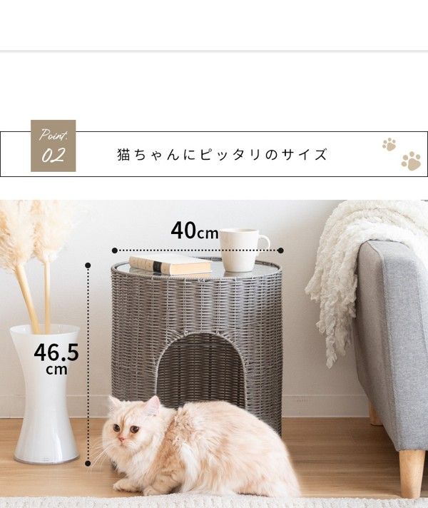 ネコ ガラス天板