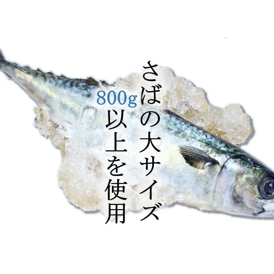 さば 宮城県三陸産 金華しめさば 石巻 ブランド鯖 こだわり製法 特大さば