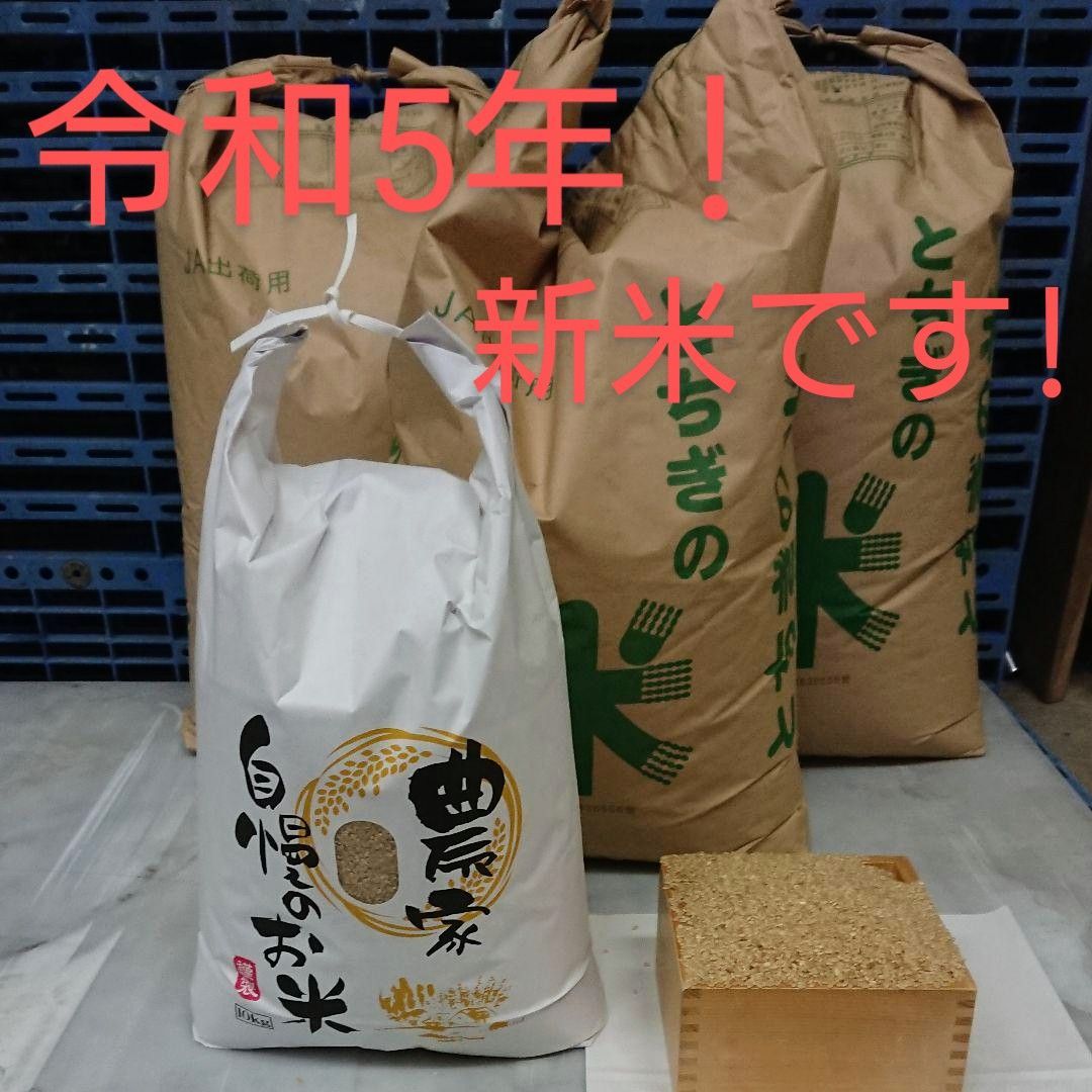 令和5年 新米 ! 精米無料！栃木県大田原市 黒羽産コシヒカリ 玄米20kg