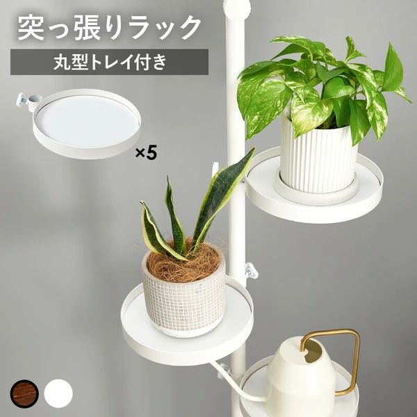 幅43cm 突っ張り棒＆パーツ 6点セット 丸型 観葉植物 ラック おしゃれ 収納 トレイ