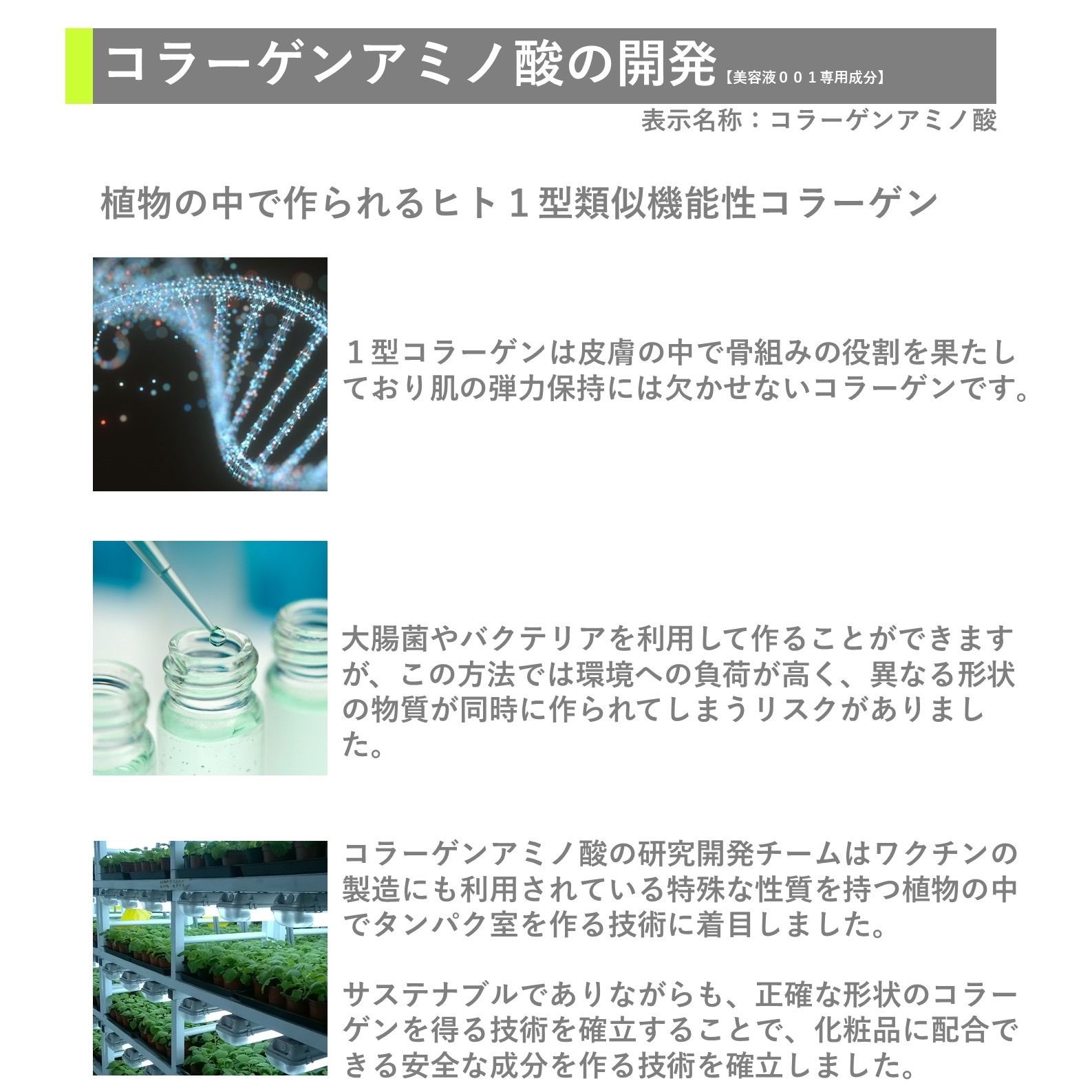 フローラバランスエッセンス001 (乳酸菌配合美容液) 30g 毛穴 日焼けダメージ 敏感 乾燥肌