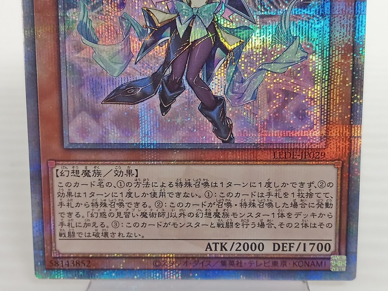 TCG トレカ 遊戯王OCG 幻惑の見習い魔術師(ナイトメア