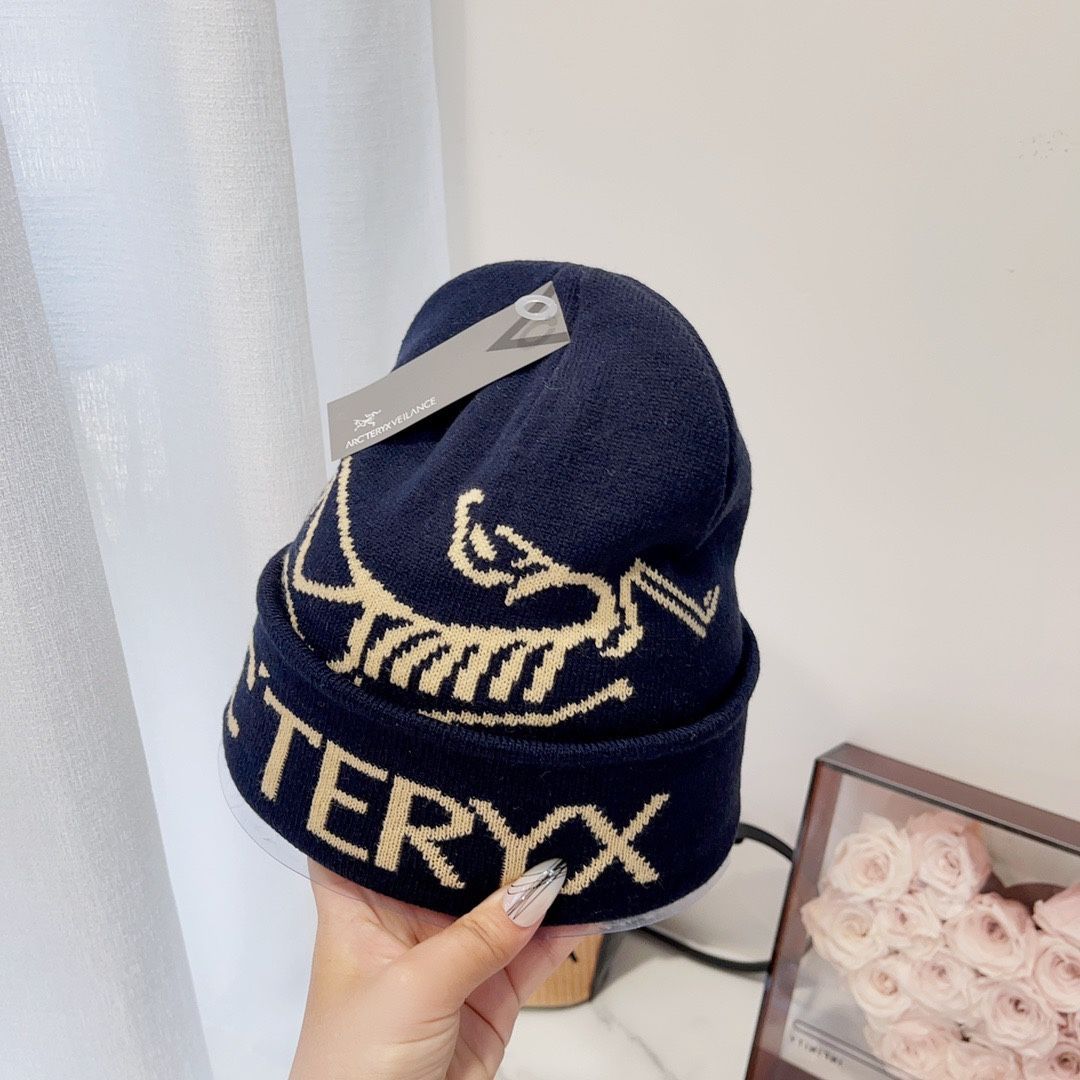 アークテリクス bird word toque バードワード トーク ニット帽 新品 