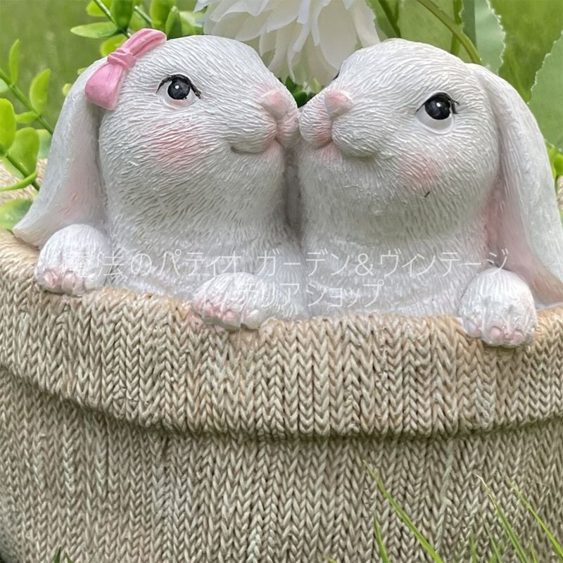 お洒落