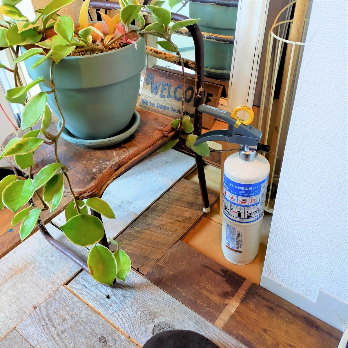 中性 ＶＦ１ＨＡ