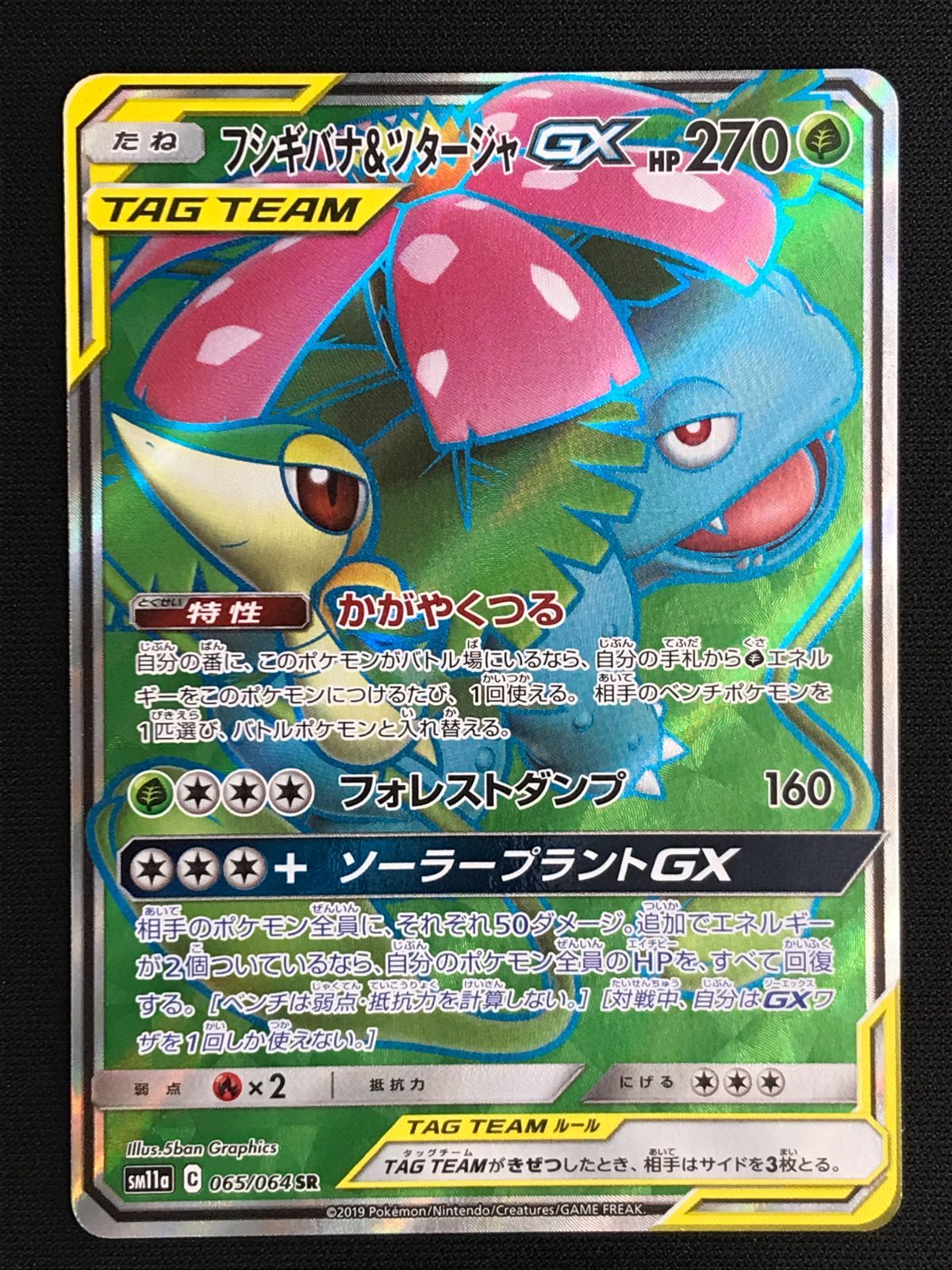 ポケモンカードゲーム ポケカ フシギバナ＆ツタージャGX SR