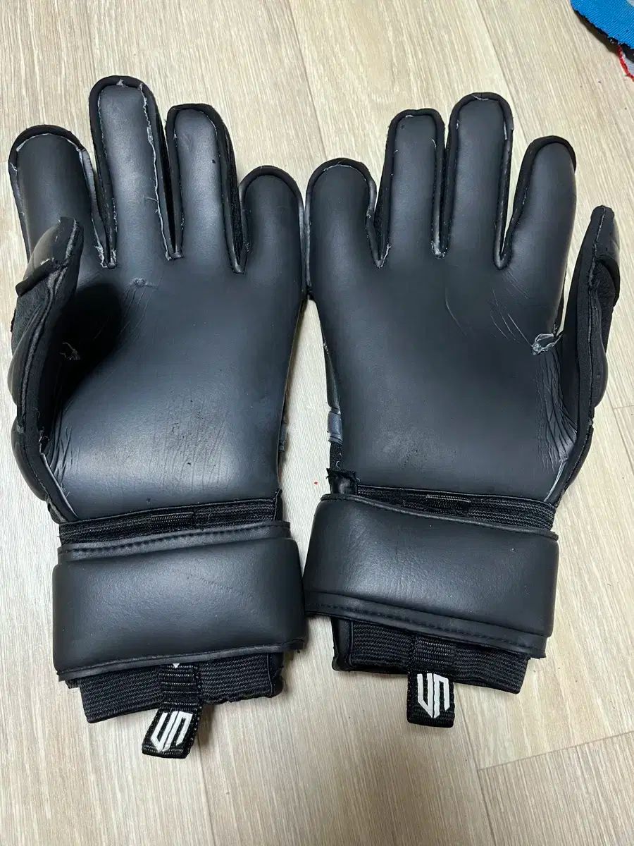 Gk ユニオン ゴールキーパー 手袋 9 サブパラグラフ 2 犬 WHITEMONARCHHOTEL_COM