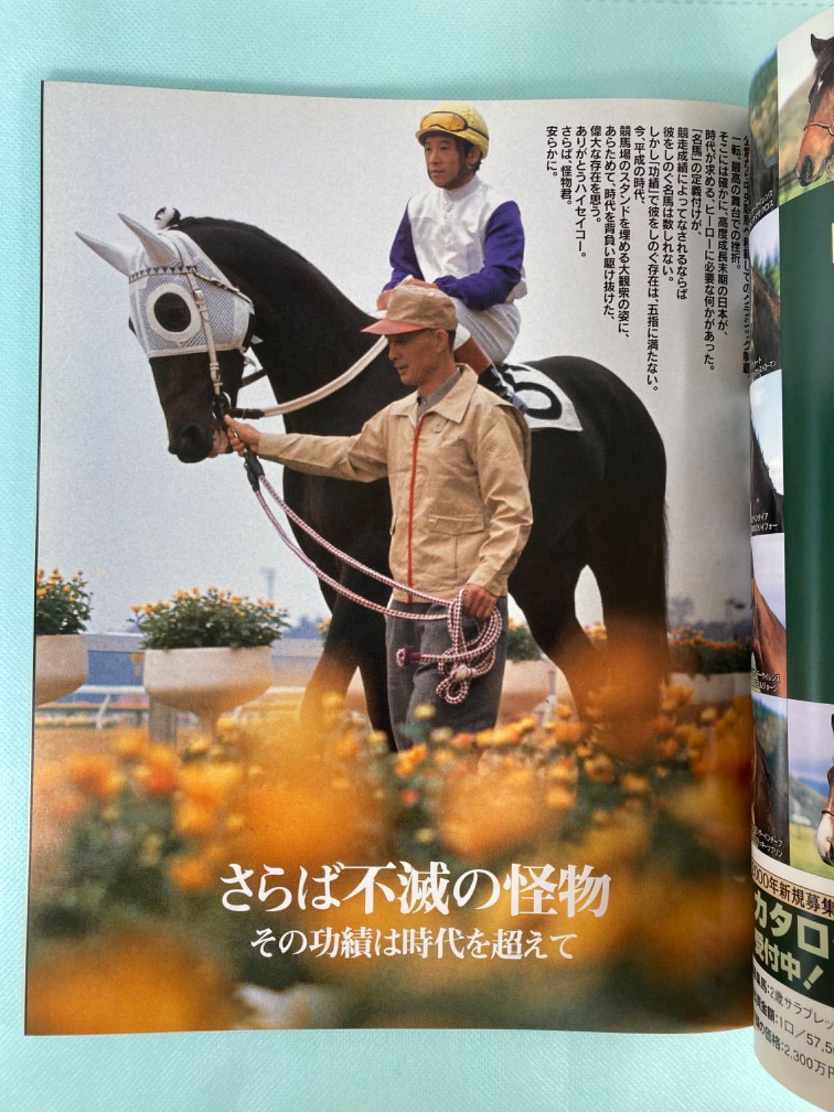 【希少】週刊100名馬＋ギャロップ＋競馬歴史新聞 週刊Gallop（ギャロップ） 臨時増刊 21世紀の名馬シリーズ｜定期購読