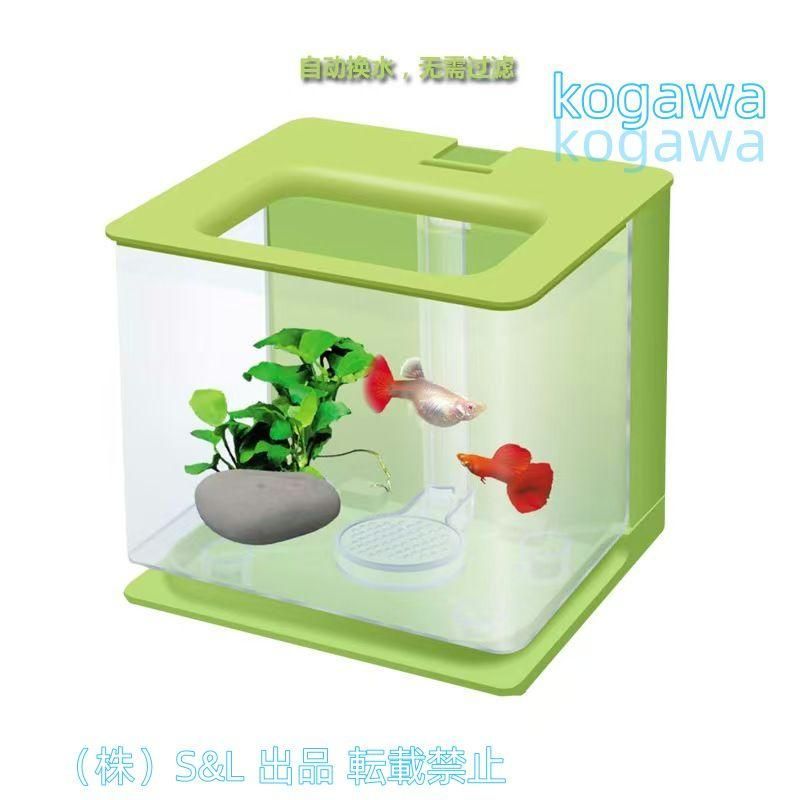 ベタ 水槽 ベタ飼育箱 熱帯魚観賞魚 水族館 ショーベタ 株式会社S＆L照らされた四角い箱 魚飼育