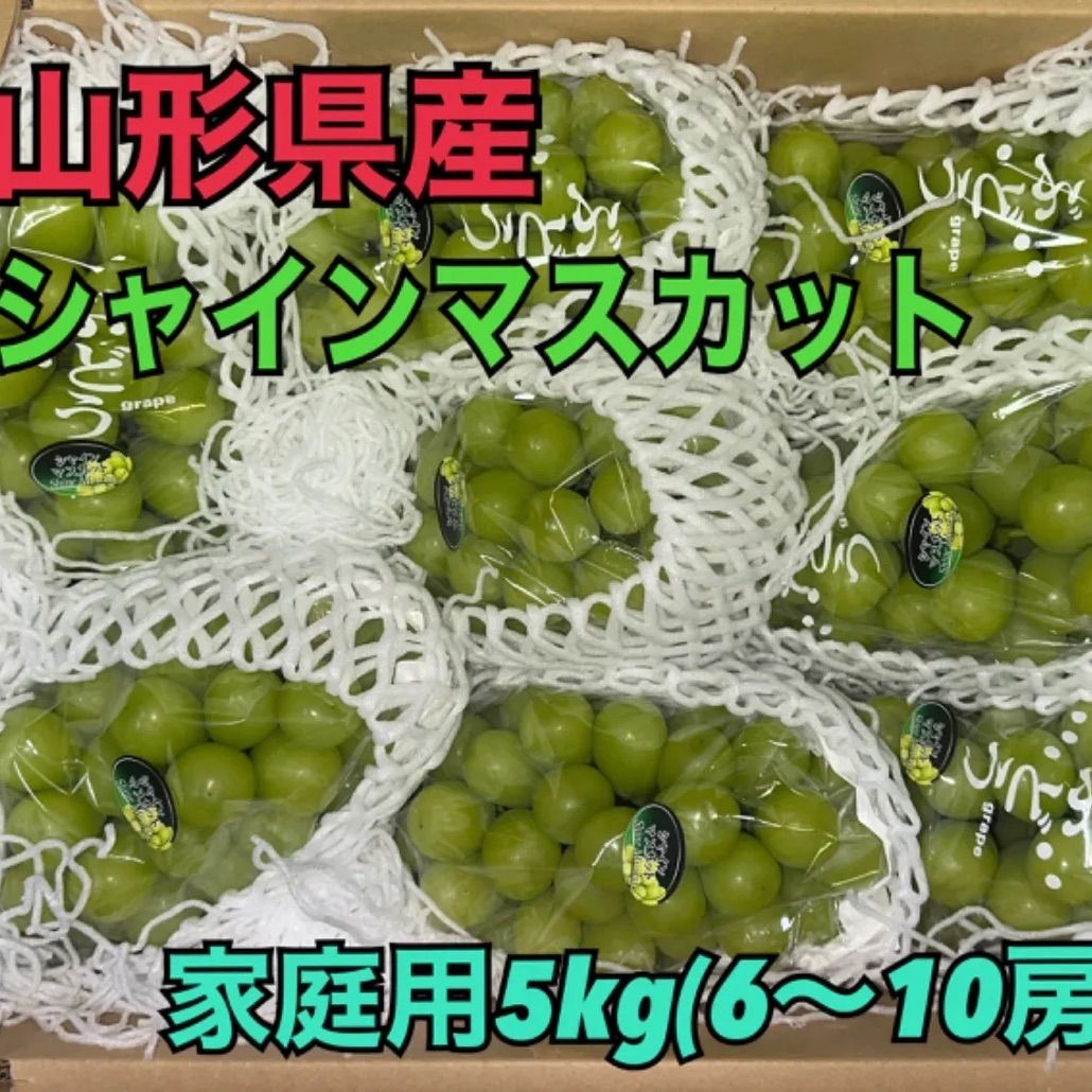 25SF 山形 シャインマスカット 家庭用 5kg 翌日発送