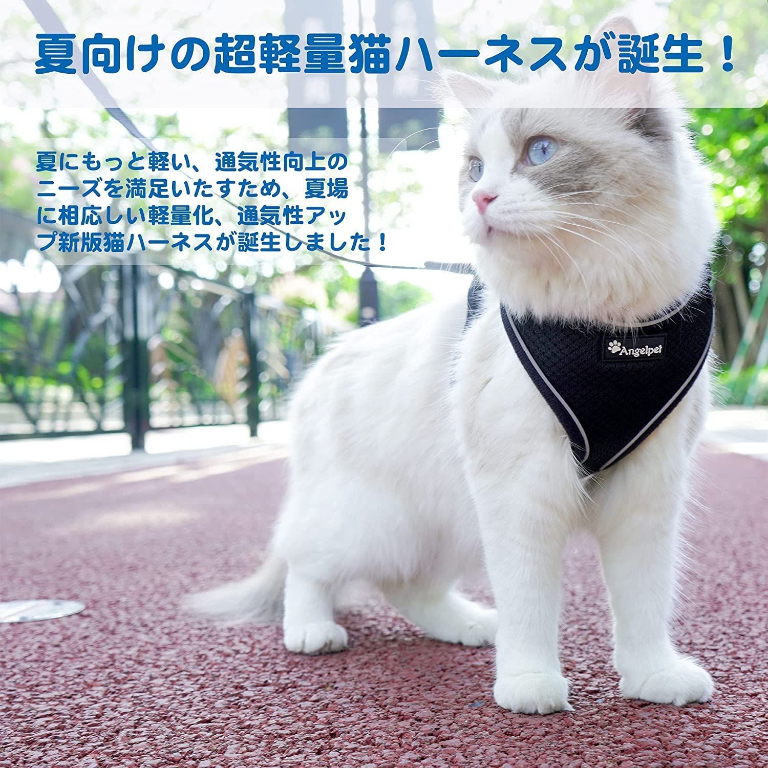 ハーネス