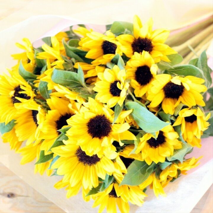 商品 ラッピングリボン 生花 向日葵 アレンジ 100本 切り花 花束