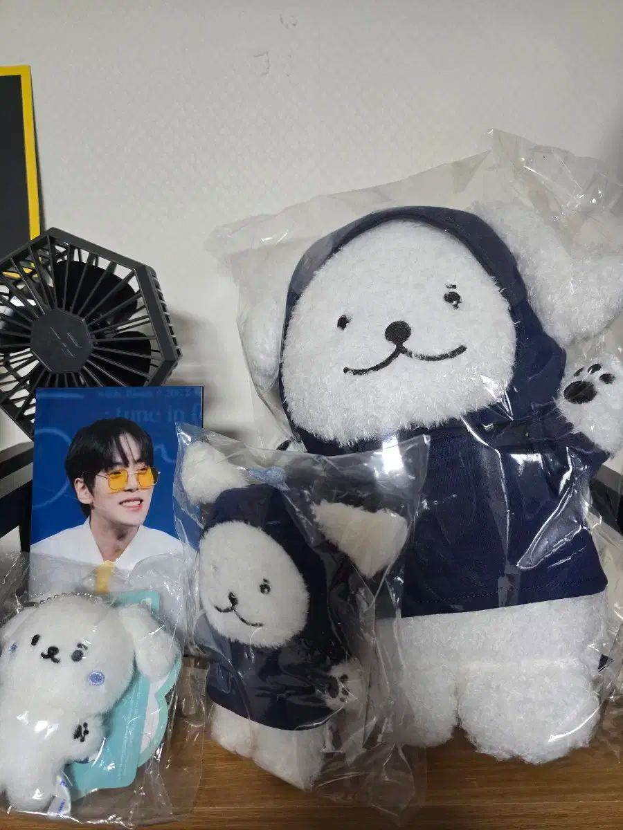【新品・未開封】ミニョク MEONGKO ミニミニドール IDカード付き イ・ミニョク(LEE MINHYUK) 公式ドール MEONGKO ミニョク
