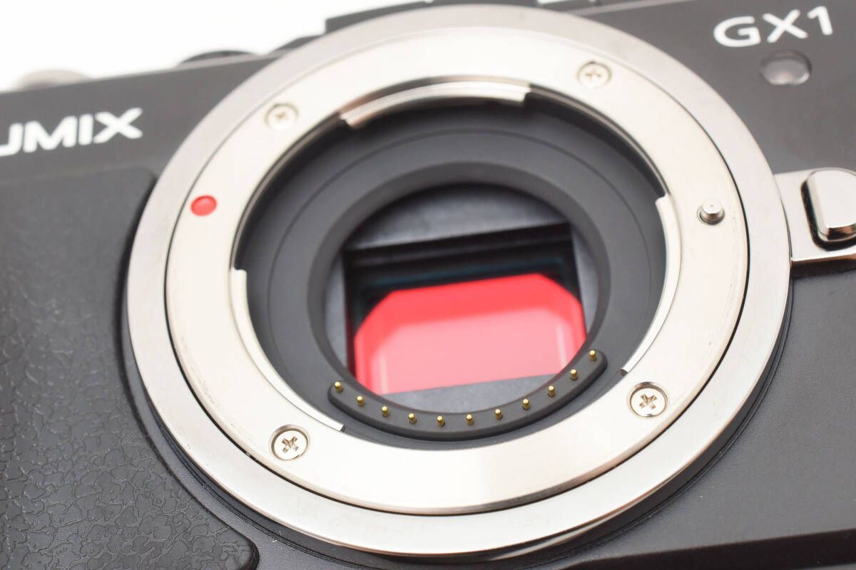 ☆良品☆ パナソニック PANASONIC LUMIX DMC-GX1 ボディ 新品互換