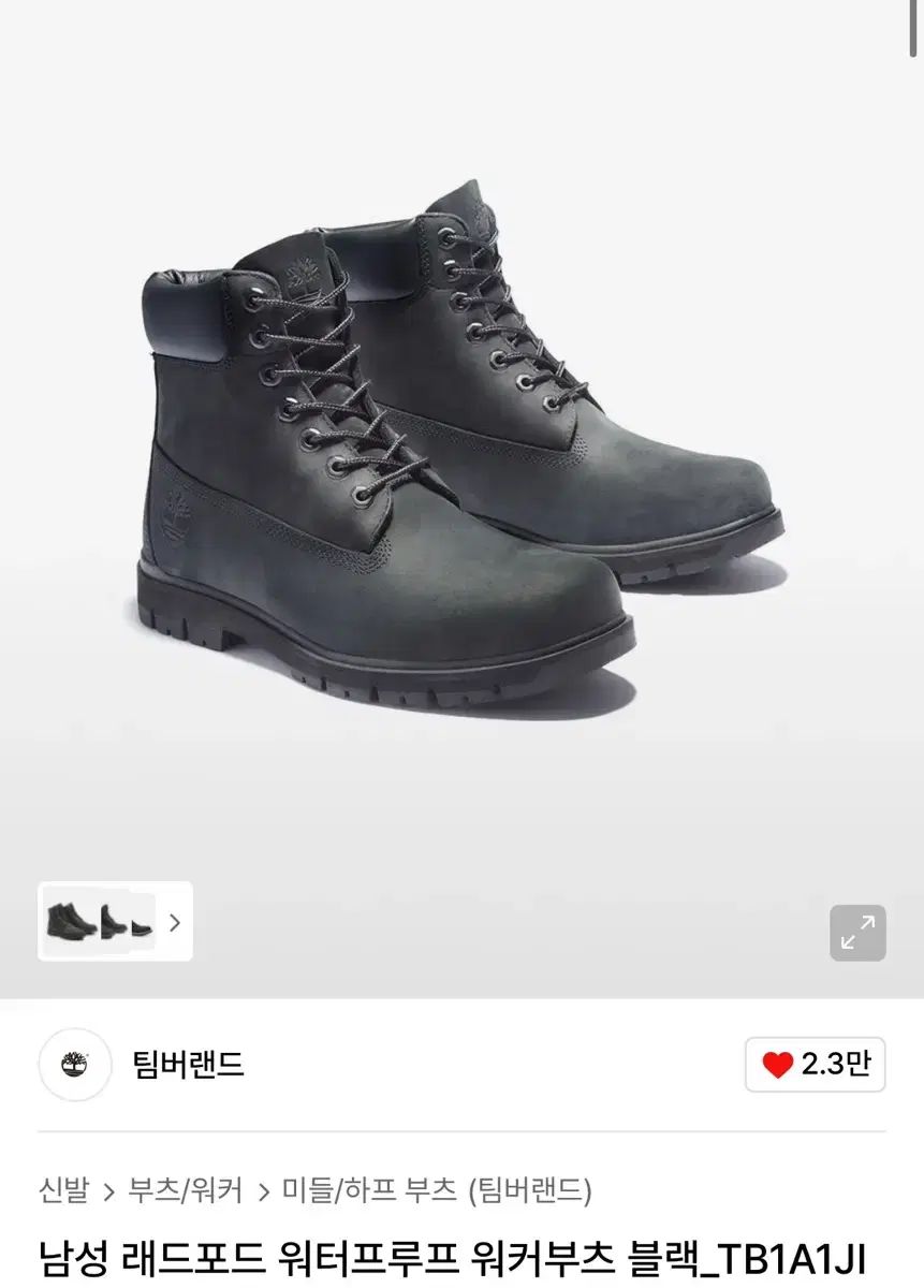 Timberland ラドフォード ウォータープルーフ ウォーカーブーツ ブラック