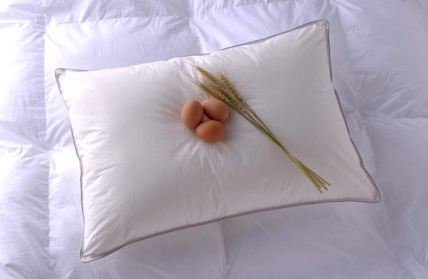 Danfill フィベールピロー プレミアサテンピローカバー付 ホワイト 普通 JPA221-AKF01G