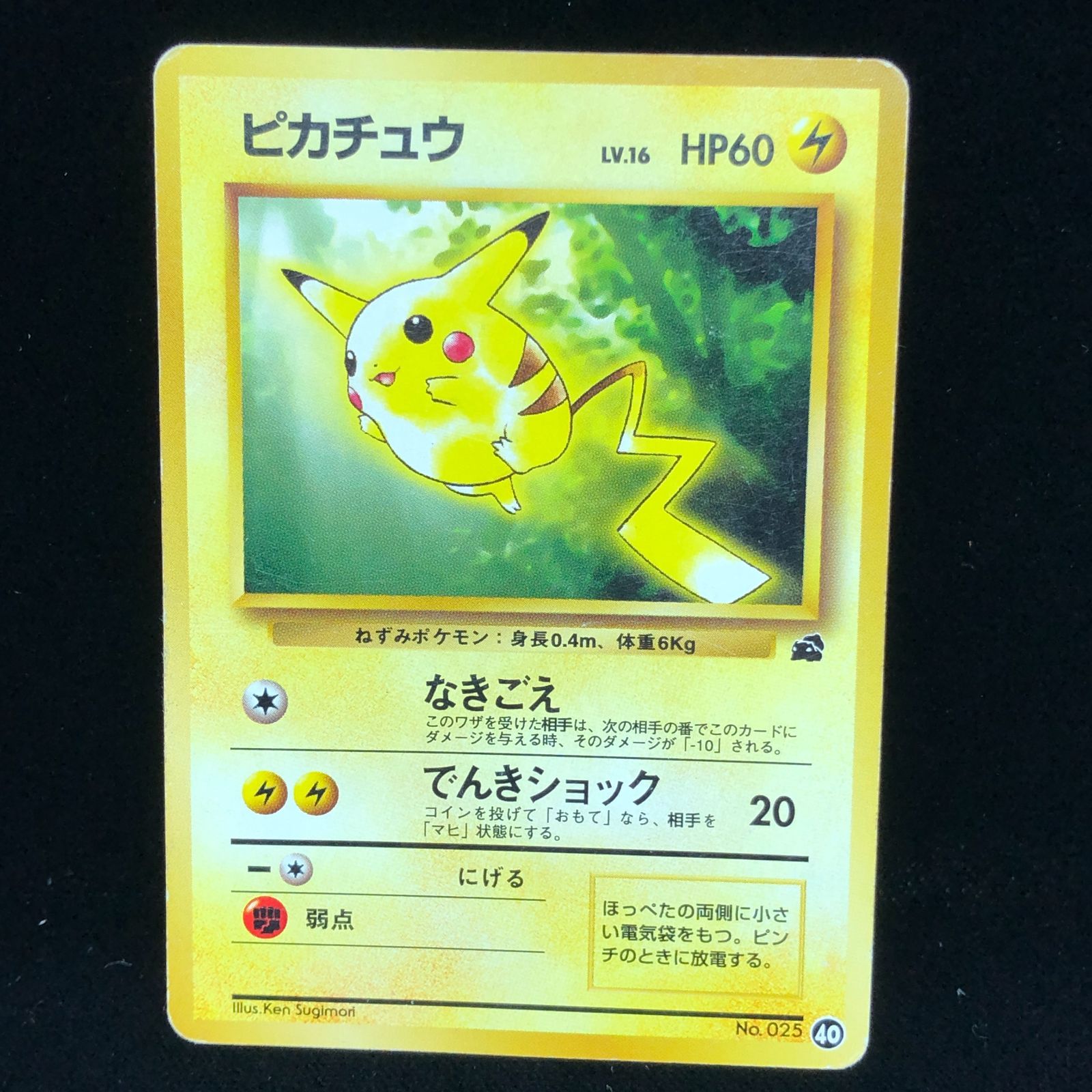 送料無料】 ポケモンカード ピカチュウ 旧裏面 フシギダネマーク