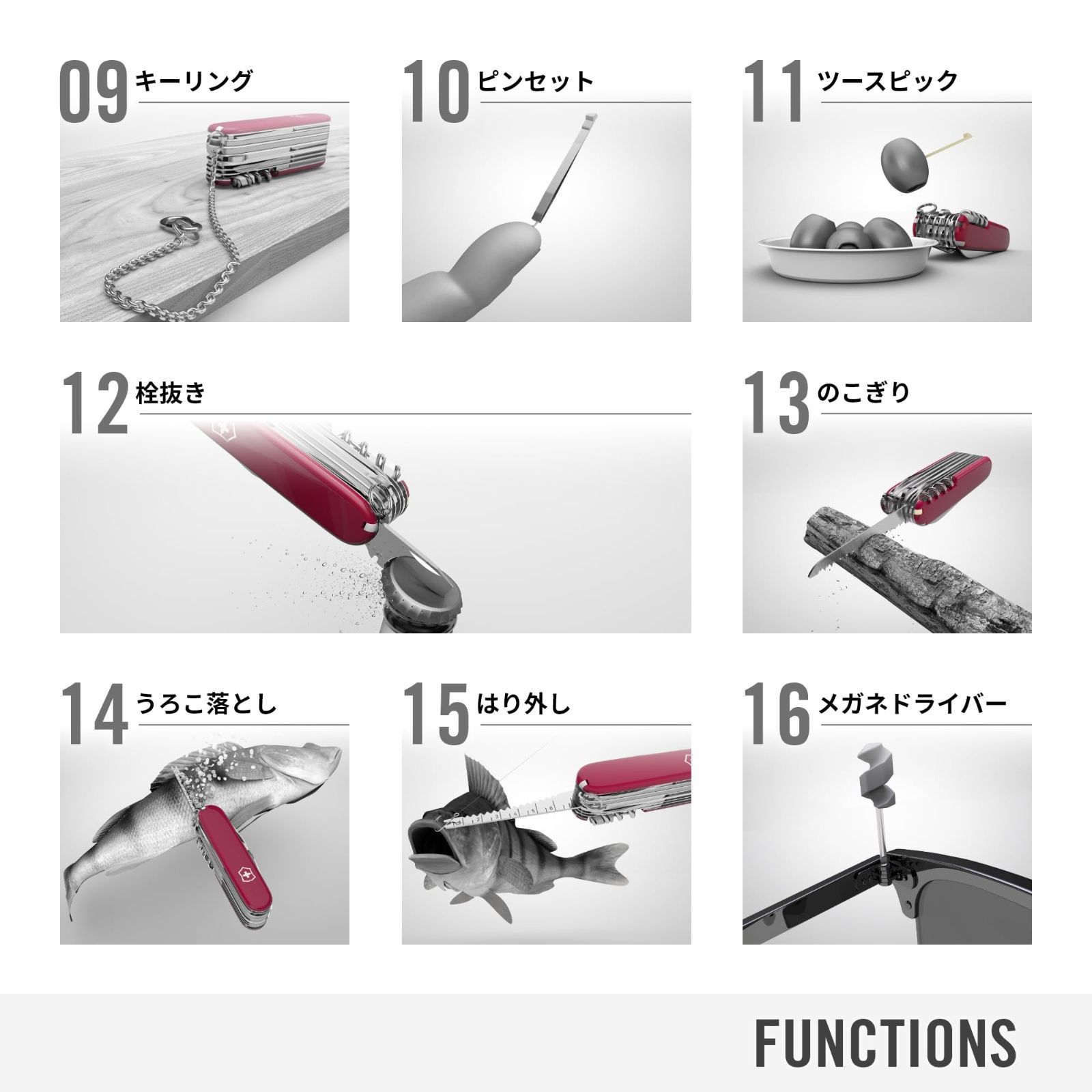 全6色 スイスチャンプシリーズ