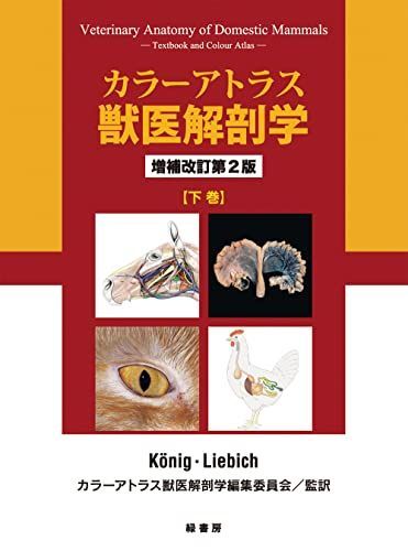 カラーアトラス獣医解剖学 増補改訂第2版 下巻 [大型本] カラーアトラス獣医解剖学編集委員会
