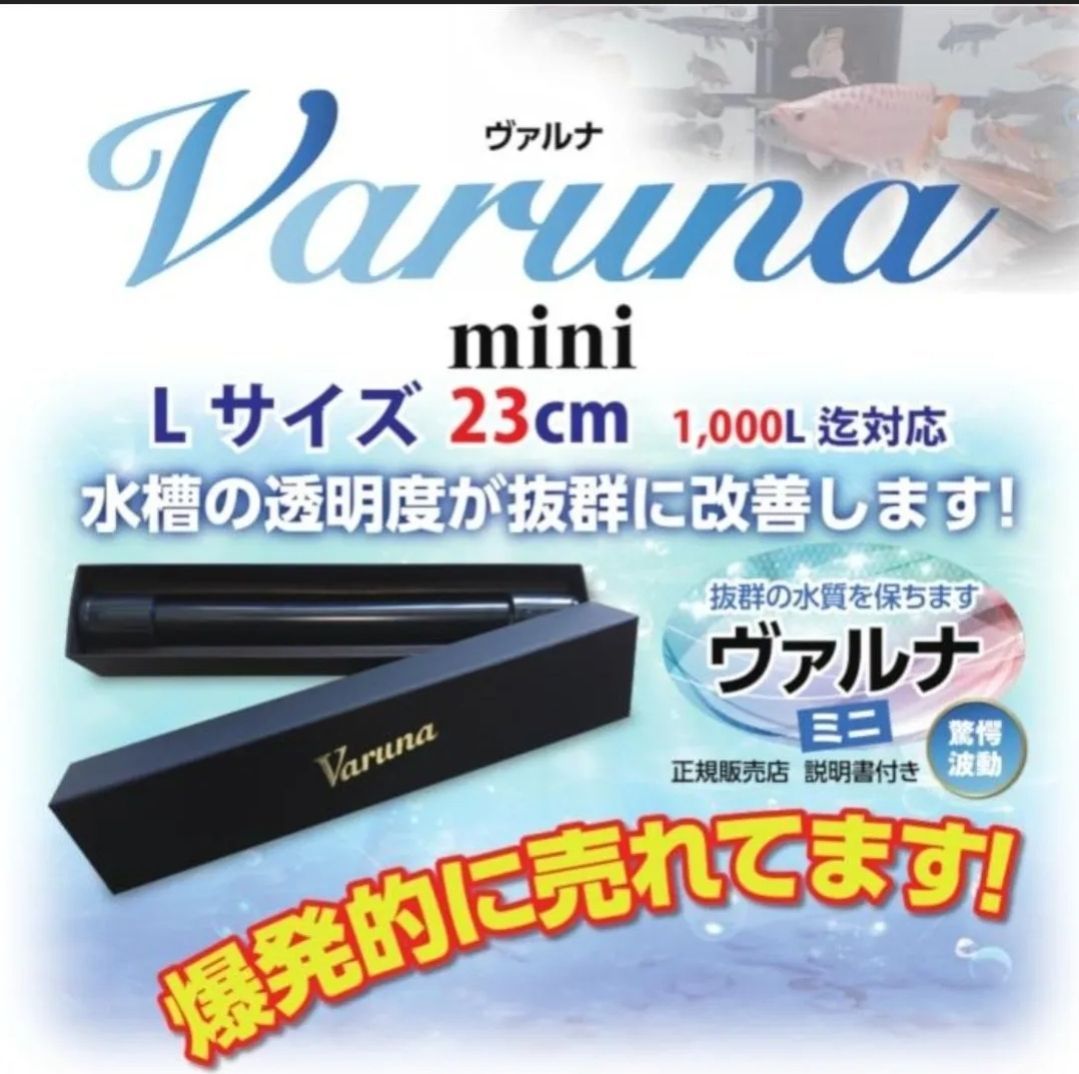 水槽の水が綺麗になります【ヴァルナミニ23㎝】水替え不要で透明度を抜群に保ちます！有害物質や病原菌も強力抑制！魚が元気に長生きします - メルカリ