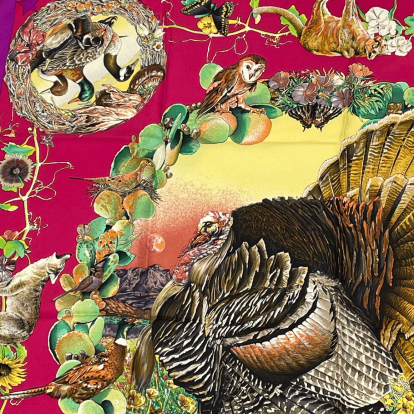 美品 HERMES エルメス カレ90 FAUNE ET FLORE DU TEXAS TEXAS