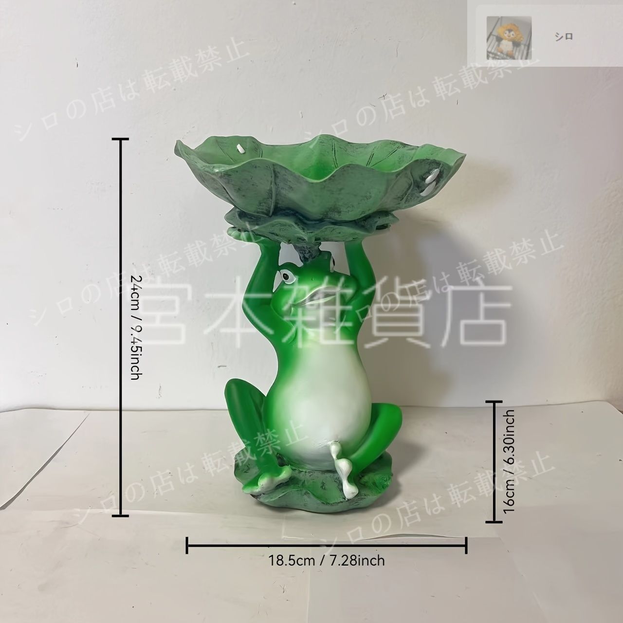 60年前のインドDari 60年前のインドDari インドに呼ばれて 6｜TENSEI HIRAKAWA