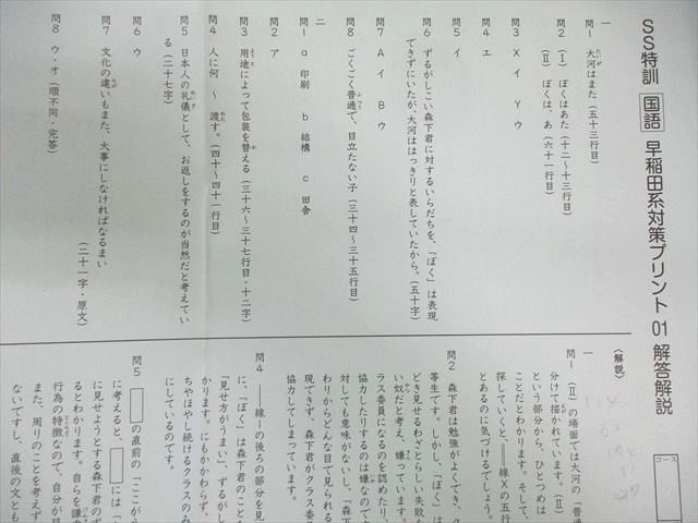 早稲田系対策プリント　サピックス 国語 SAPIX サピックス SS特訓 早稲田系対策プリント 国語 【全14回分