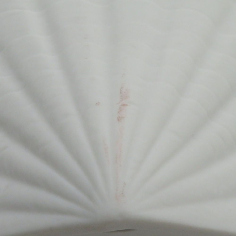 【希少】リヤドロ コレクターズ ソサエティ プレート（ドン・キホーテ） 希少】リヤドロ コレクターズ ソサエティ プレート（ドン・キホーテ